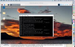 Screen Shot 2022-01-05 at 2.03.22 PM.jpg