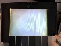 swatches for comparison.jpeg