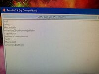 IMG_2937.jpeg
