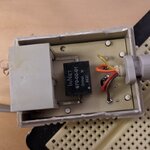 PXL_20210903_031817115.jpg
