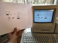 IMG_4652.jpg