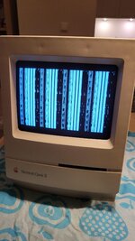 signal-2022-02-04-202314_002.jpeg
