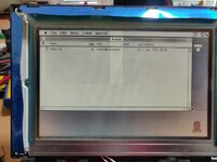 WhatsApp Image 2022-02-06 at 15.26.03.jpeg WhatsApp Image 2022-02-06 at 15.26.03.jpeg