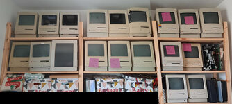 Essex Macs (1-2) (1).jpg