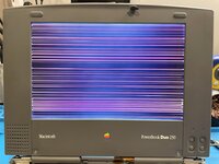 IMG_3778.jpeg