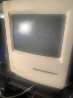 IMG_9668.JPG IMG_9668.JPG