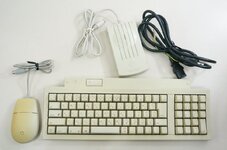 i-img1200x796-1647425377ejjqmp450894.jpg