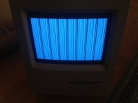 IMG_4631.JPG IMG_4631.JPG