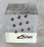 Apple Lucite block.JPG