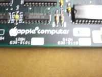 CIMG0994.JPG CIMG0994.JPG