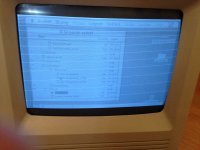 IMG_4908.JPG IMG_4908.JPG