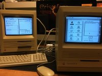 IMG_2992.JPG IMG_2992.JPG