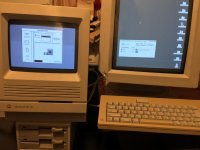 IMG_3012.JPG IMG_3012.JPG