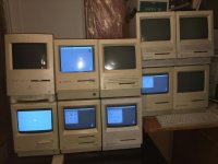 IMG_3114.JPG IMG_3114.JPG