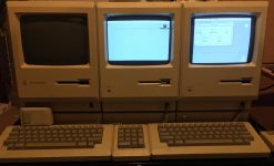 fullsizeoutput_26e2.jpeg fullsizeoutput_26e2.jpeg