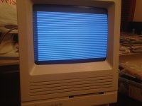 IMG_5299.JPG IMG_5299.JPG