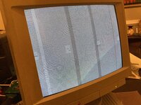 IMG_4234.jpeg