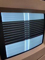 IMG_4881.jpeg