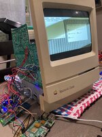 IMG_4884.jpeg