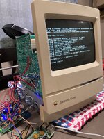 IMG_4883.jpeg