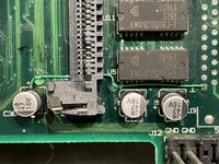 IMG_4367 Medium.jpeg