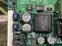 IMG_4368 Medium.jpeg