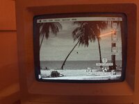 C6A550ED-1363-4668-AABD-FCF8F98DB794.jpeg