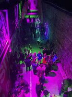 IMG_8937.JPG