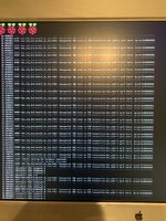 IMG_8421.jpeg