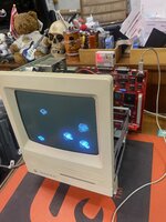IMG_3344.jpeg