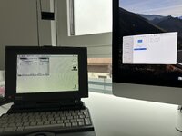 IMG_1679.jpeg