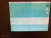 IMG_5452.JPG IMG_5452.JPG