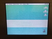 IMG_5453.jpg IMG_5453.jpg