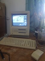 20221109_164008.jpg