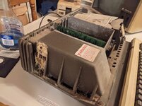 hornet nest?.jpg hornet nest?.jpg