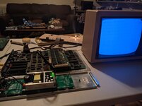 this little light of mine.jpg