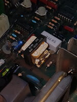 Whatever this thing is.jpg