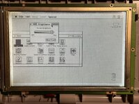 IMG_0374.jpeg