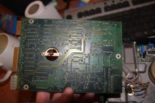 IMG_8475.JPG IMG_8475.JPG