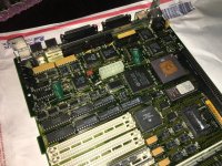 IMG_3613.JPG IMG_3613.JPG