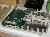 P2030383.JPG P2030383.JPG