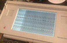 FCDDD657-4CDC-48B9-8123-AD338FE3CAD2.jpeg