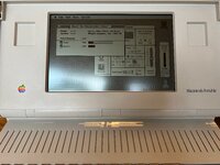 IMG_1686.jpeg