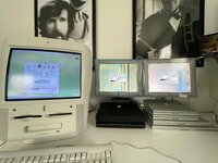 IMG_6257.jpeg IMG_6257.jpeg