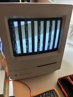 IMG_0502.jpeg IMG_0502.jpeg