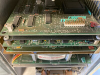 IMG_6330.jpeg IMG_6330.jpeg