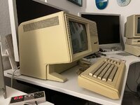IMG_6376.jpeg