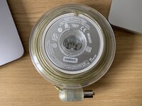 IMG_7547.jpeg