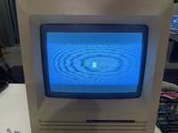 IMG_2425.jpeg
