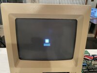 IMG_2427.jpeg